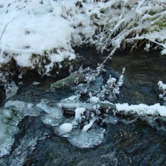 "Year Of Destiny", Bleeding Fingers Contest 2014