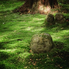 A Sloth in a Hammock