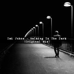 Imi Juhos - Walking In The Dark (Original Mix)