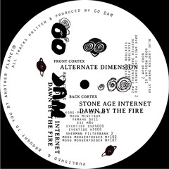 Go Dam - Alternate Dimensions EP