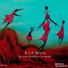 R.I.P Bestia - African wedding Ceremony (Original mix)