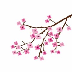 Cherry Blossoms (Prod. by Burg)