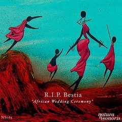 R.I.P Bestia - We were in MDI (Original mix)
