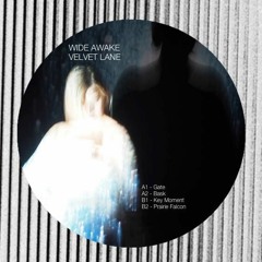WIDE AWAKE - Gate (Original Mix)