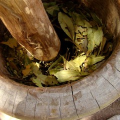 CARIJOSO - GAITA LIVRE