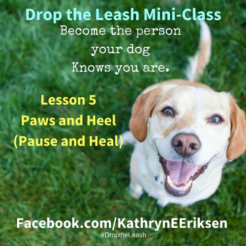 Drop the Leash Mini-Class: Lesson 5 - Paws and Heal