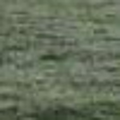 GAMBINO# SLV //LE SANG DE LA VEINE# 2016