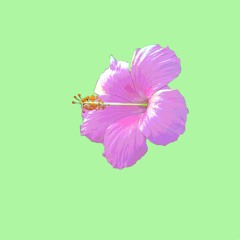 Benny Mil Amores- Purple Gardens (Prod. by SeoulKng)