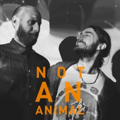 Not An Animal DJ Mixes