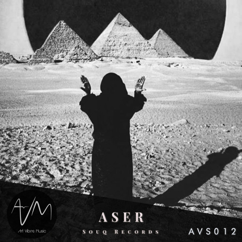 AVM Podcasts #012 - Aser