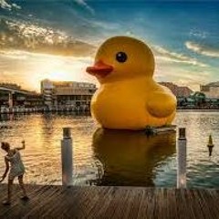 Playful, Deep And Soulful House Music Mix