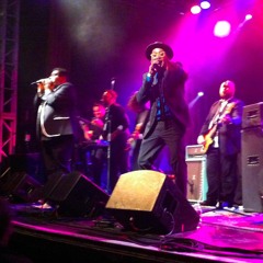 Gallery Cat - Hold On (Unreleased)