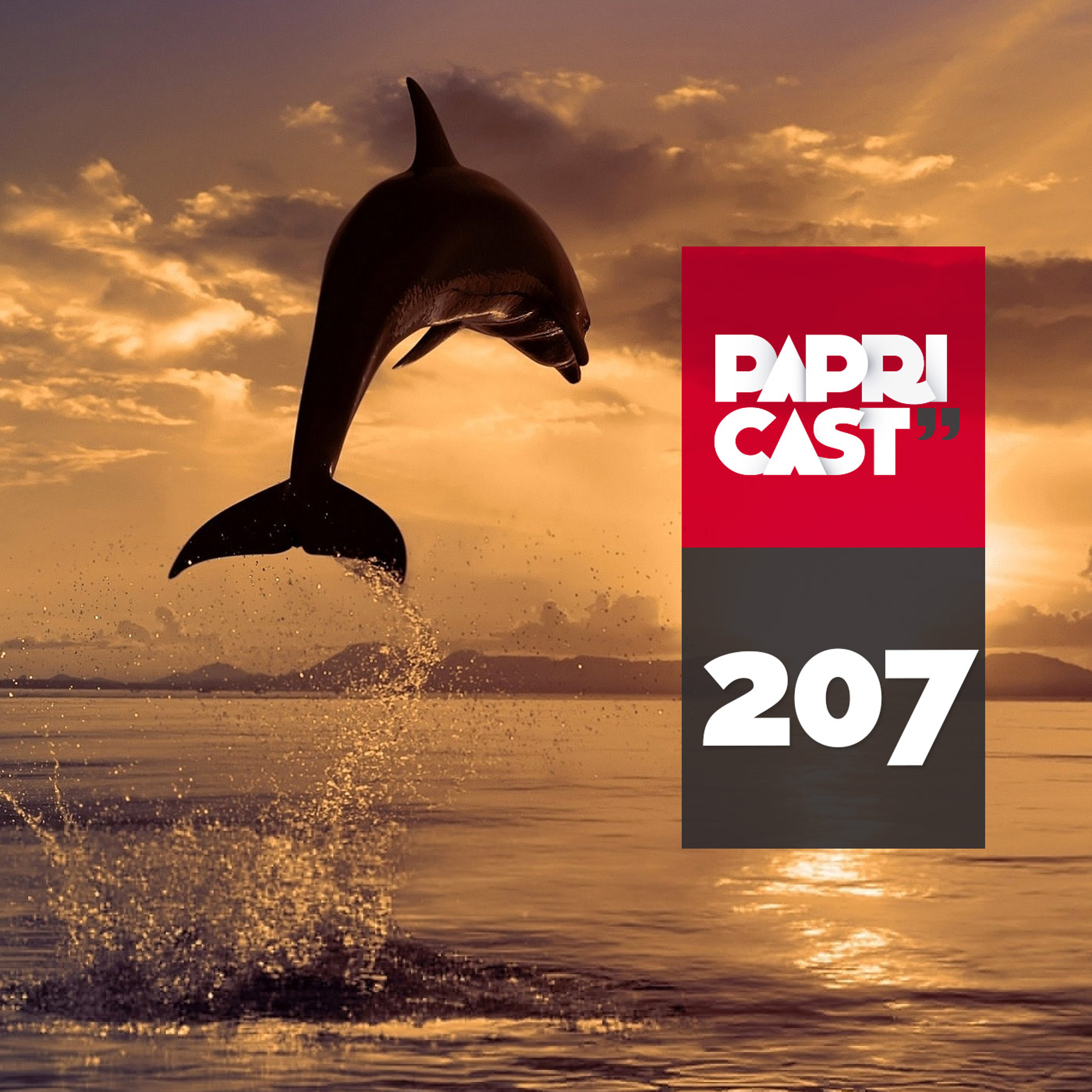 Papricast