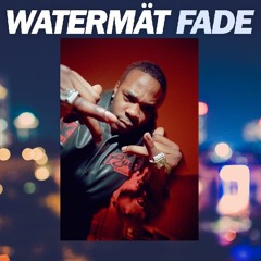 Watermat vs Busta Rhymes - Fade (MausMorto remix)