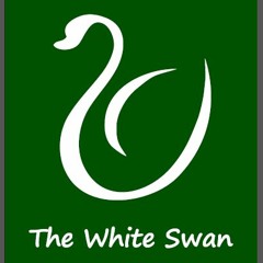 Suzy Bee - She Will Be Loved (cover) Live at TWS