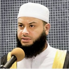 الأنعام - حاتم فريد