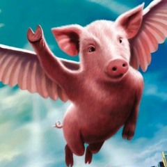 Flying Pigs (Raisi Open Loop) [Free DL}