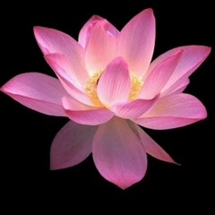 "Pink Ashram" (native american flute & double neck electric oud)