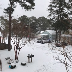 Your Best American Girl (Mitski Cover)