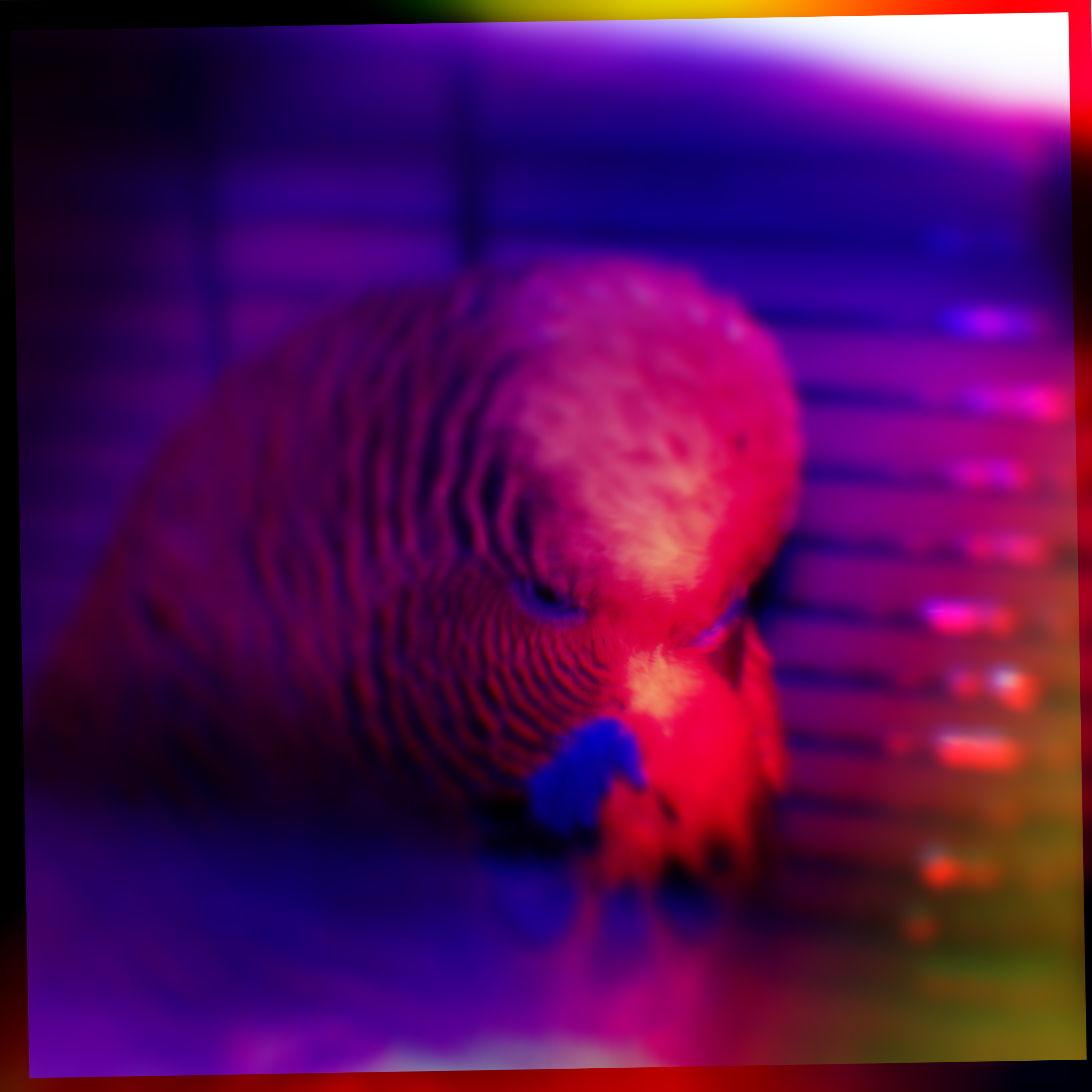 Lo-fEDM episode artwork