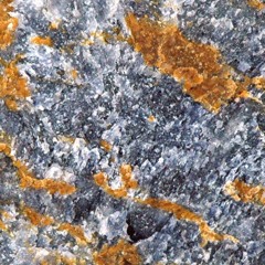 metamorphanomic (disquiet0267)