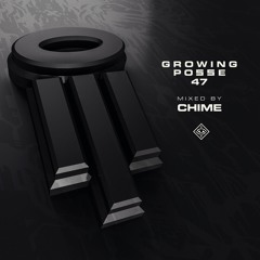 The Growing Posse Vol. 47 ( Mixed by CHIME )