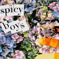 VPP - SPICYBOYS