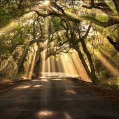 Beat 30 O - Lullaby Remix