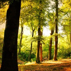 مـولاي صلى وسلـم بدون موسيقى ماهر زين