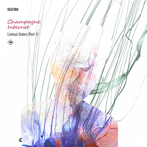 Low Orbit (Pawas remix)- Champagne Internet