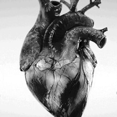 Nelly Santana - Pain #CGS