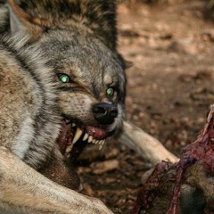 No Letting Up Pt. 2 Freestyle (Feat. Yung Trxce)