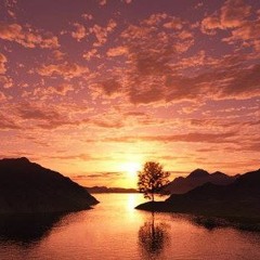 Set Of The Day Podcast - 154 - Surreal
