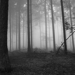 Nick Stecki- Call Me: Shinedown Cover