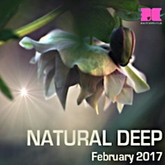 NaturalDeepFebruary2017