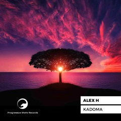 Alex H - Kadoma