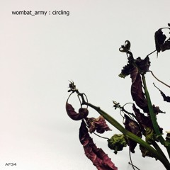 wombat_army - circling