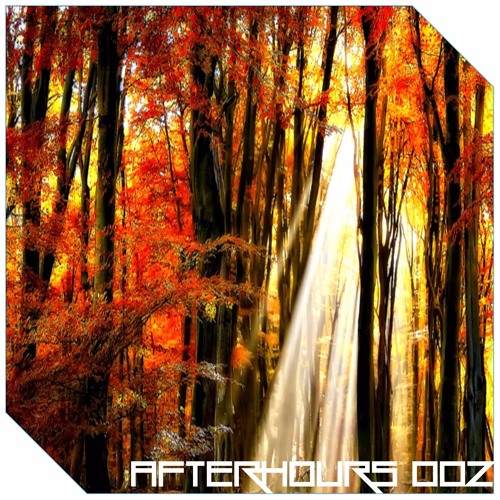 Afterhours 002 mixed by fran&co [FREE DOWNLOAD]