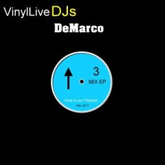Vinyl Live DJs - DeMarco in the Vinyl mix