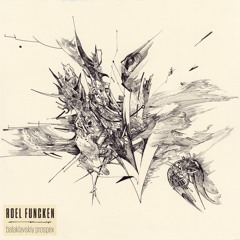 Roel Funcken _ Nefit Kraton