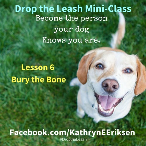 Drop the Leash Mini-Class: Lesson 6 - Bury the Bone