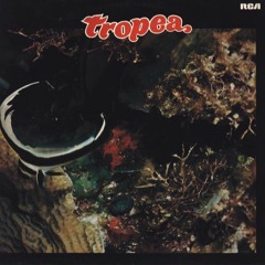 John Tropea "Tambourine" (Edit)