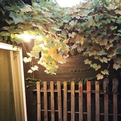 VolcaFM PO-32 Quick Show