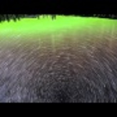 Edamame - Gathered