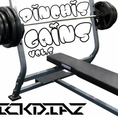 PINCHIS GAINS VOL 2