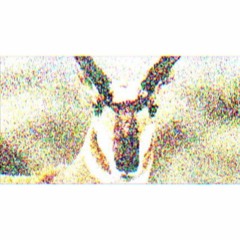 Starpilot - Pronghorn