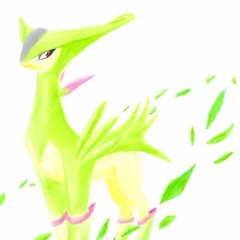 Pokemon B/W - Route 11 - 12 [Remix]
