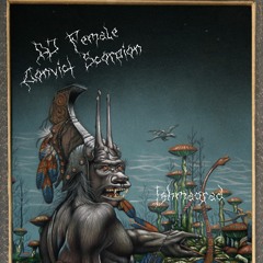 Wormhole Bullet-Train by DJ Female Convict Scorpion