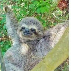 Baka Solomon, Sean Rii, Hotwills & O-FouR - Holim Pass - from YouTube.mp3