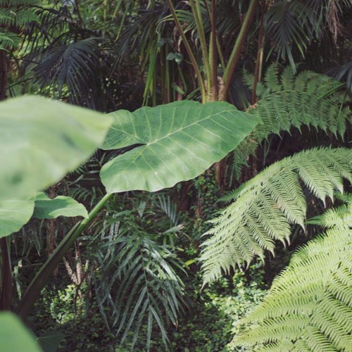 Cosmic Mix vol. 71